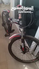  1 Folding bike