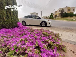  20 تيوتا بريوس 2019