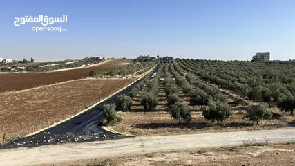  4 ارض للبيع في حسبان قريبة من شارع المطار ومرج الحمام على شارع مأدبا الغربي قريبة من الجامعة الألمانية