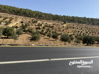  5 ارض للبيع نادرة