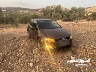  6 بولو جير عادي الحبة النادرة باللون و الجمال و الفحص