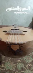  2 عود  خشب جوز