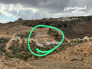  5 قطعة ارض في مدينة جرش (( البركتين )) مقابل مخبز الخبازون، على شارعين، للبيع من المالك مباشرة..