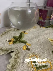  8 سمك للتبديل من سلحفاه برمائيه