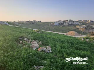 5 أرض للبيع في منطقة  السرو حوض ابو الهركاب