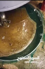  1 موسم 2025 سعر خاص للتجار و للكميات من عسل وشمع علب وبراويز كامله من مناحل عسل مملكة النحل