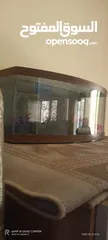  3 حوض سمك نظيف جدا للبيع