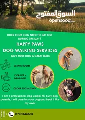  1 ليحظى كلبك ب افضل النزهات في حياته    DOG WALKING SERVICES