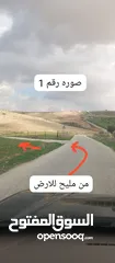  2 ارض زراعية للبيع  .. قطعه زراعية .   محافظة مادبا . ذيبان . مليح . حوض العلاقي . مساحة اربع دنمات