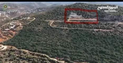  1 أرض مطلة كفر عين مجرفة جاهزة واصل شوارع وخدمات