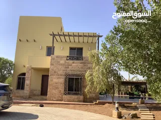  2 مزرعة في البحر الميت/ الشونه الجنوبية / السويمه / حوض جلد مميزة للبيع للجادين فقط