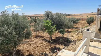  5 ارض مميزه للبيع