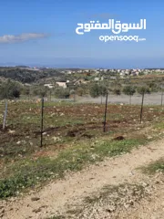  4 نمرتين ارض