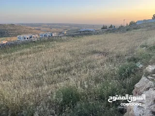  3 كادي ترخيص 2012