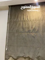  1 برادي زيبرا 4 قطع zebra