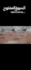  1 قطعة أرض مرتبة معمرة وجاهزة