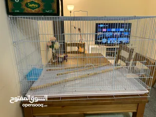  1 Cage with accessories