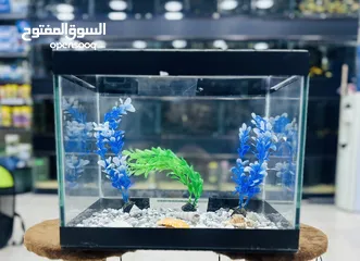  1 حوض حجم صغير للبيع