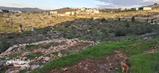  18 800متر طابوا فلسطيني في اجمل موقع بالكفريات واطلالة مميزةمنطقة( b)صالحة للبناء