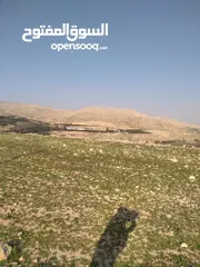  15 قطعة أرض للبيع مميزة بأطلالة مرتفعة وبسعر مغري