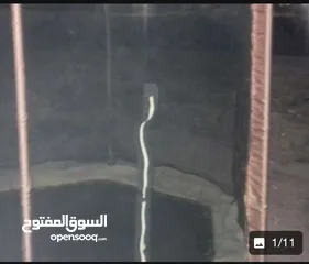  10 (ترامبولين مستعمل بحاله الوكاله عرضها 1,80 حجم كبير للبيع بسعر مغري جدا جدا) التواصل على الواتس