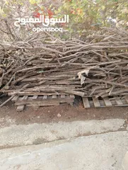  5 تشكيلة حطب للبيع