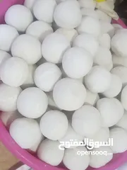  5 البان واجبان السعودي