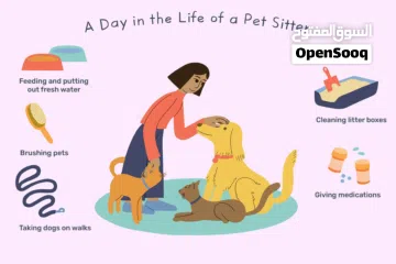  1 Pet Sitter service affordable price