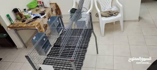  5 rabbit cage