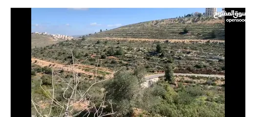  5 ابو قش ارض للبيع  930 متر اطلاله مميزه