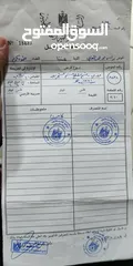  8 ارض في عنبتا الجبل الجنوبي تصنيف أ واصلها جميع الخدمات اطلاله ولا اروع راس ابو عمر القبلي