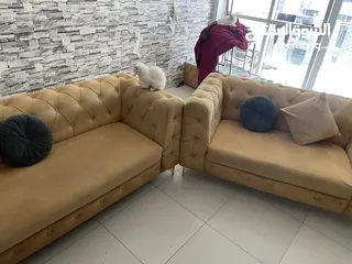  1 “ تم البيع Luxurious Golden Velvet Sofa in Excellent Condition for Sale”