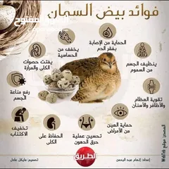  2 بيض فري للأكل