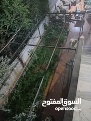  20 شقه للبيع الهاشمي الشمالي تسويه ثانيه خلف مخبز تفاحه بالقرب من صيدليه ديما