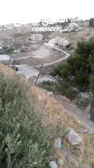  5 قطعتين أرض طابو قطعة 580 وقطعة 500