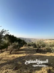 12 قطعة ارض للبيع ( الإطلالة الأجمل في منطقة بيرين)  واصل جميع الخدمات ( على قمة ام رمانة )