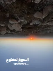  8 ارض للبيع 1100م منطقه الصره