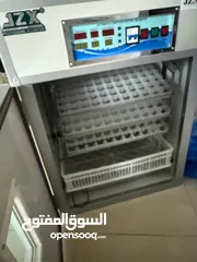  2 فقاسة بيض دجاج صينيه