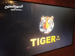  1 شاشة تايجر 43 انش  بسعر حرق للبيع