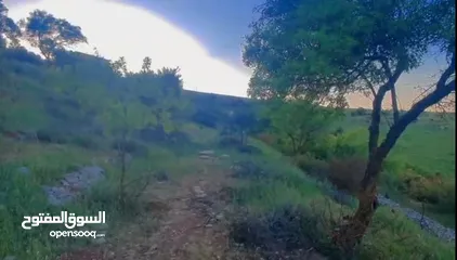  6 قطعه ارض للبيع من المالك مباشره ذات اطلاله بانوراما خلابه مفروزه