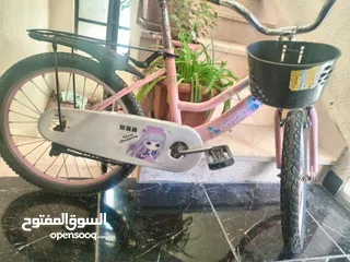  2 بسكليت امريكي جنط 20