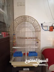  2 قفص كاسكو حجم كبير