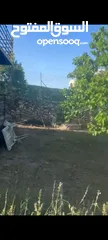  2 بيت مستقل في منطقه رافات طابق واحد مع ارض 500متر السعر 170الف دولار