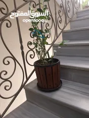  11 قواوير ميناوي للزراعة شغل يدوي بلاستيك ملبس خشب سويد مثبت ببراغي
