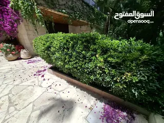  11 شقة غير مفروشة للإيجار  ( Property 43170 )-175095420