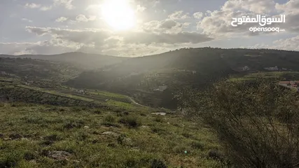  16 ارض زراعية ذات اطلالة رائعة للبيع في صروت السفوح تصلح لمزرعة او شاليه او للاستثمار أو إقامة منتجع