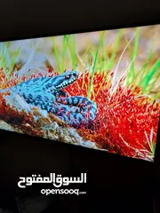  4 شاشة LG  50 بوصة سمارت  ريموت ماوس وأوامر صوتية