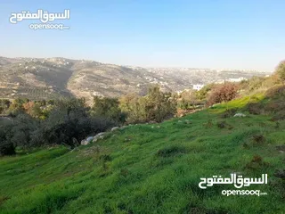  6 ارض مميزة مطلة ابو السوس غرب عمان عدة قطع في المنطقة.
