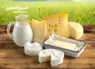  4 للباحثين عن بناء شركة للاستثمار الزراعى والانتاج الحيوانى
