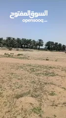  6 أرض للبيع في ولاية بركاء منطقة البدي9200